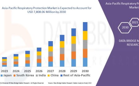Asia-Pacific Respiratory Protection Market Challenges: Growth, Share, Value, Size, and Scope