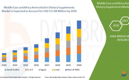 Middle East and Africa Amino Acid in Dietary Supplements Market Scope: Growth, Share, Value, Size, and Analysis