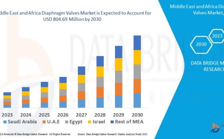 Middle East and Africa Diaphragm Valves Market Demand: Growth, Share, Value, Size, and Insights