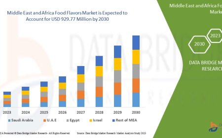 Middle East and Africa Food Flavors Market Industry Statistics: Growth, Share, Value, and Trends