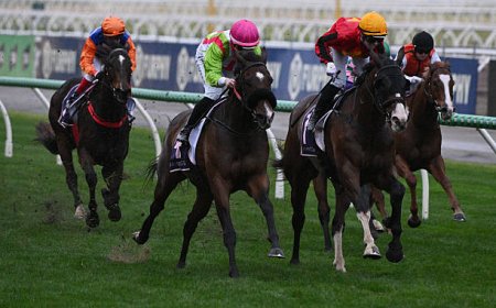 Top Aussie Betting Sites: Your Guide to Safe and Exciting Wagering