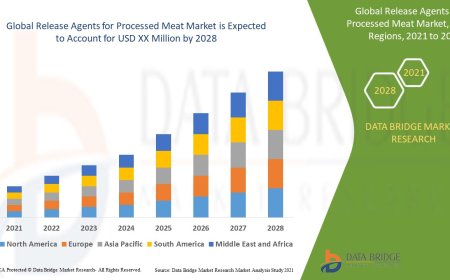 Release Agents for Processed Meat Market Overview: Key Drivers and Challenges
