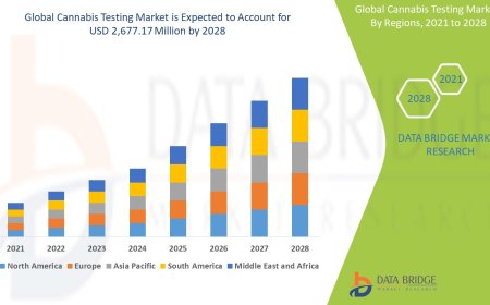 Cannabis Testing Market Overview: Trends, Challenges, and Forecast to 2028