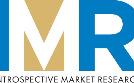 Sunflower Oil Market Trends Report: Long-Term Outlook Through 2032