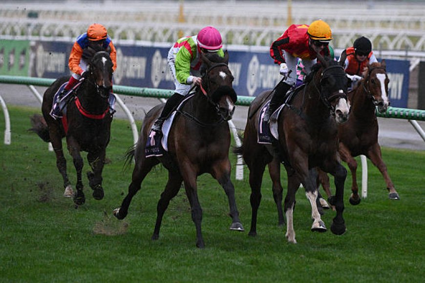 Top Aussie Betting Sites: Your Guide to Safe and Exciting Wagering