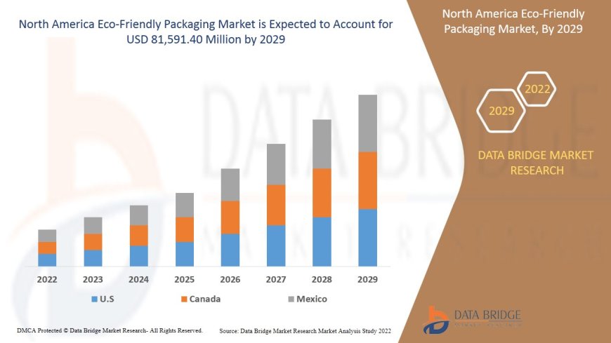 North America Eco-Friendly Packaging Market: Trends and Growth Opportunities