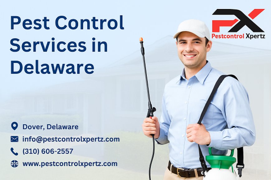 Pest Control in Glasgow Flats: A Guide for Urban Residents