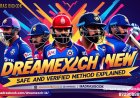 Dreamexch In New ID Free: Safe and Verified Method Explained