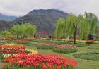 Explore the Beauty of Kashmir with Srinagar Local Sightseeing