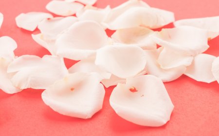 Silk Flower Petals for Weddings: Romantic Accents That Last Forever