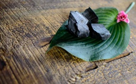 Why Purely Natural Shilajit Is the Best Choice for Authentic Wellness