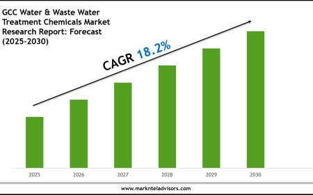 GCC Water & Waste Water Treatment Chemicals Market Size & Share 2030 Key Trends & Projections