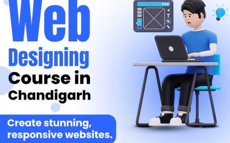 Best Web Designing Course in Chandigarh | Learn UI/UX & Front-End Development