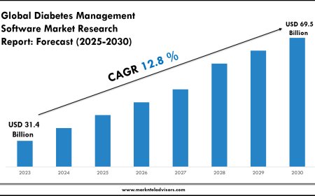 Diabetes Management Software Industry Analysis 2025–2030: Market Insights & Forecast