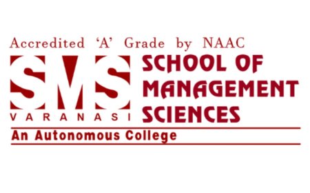 Accounting vs Auditing: Entrepreneurial Opportunities in Each