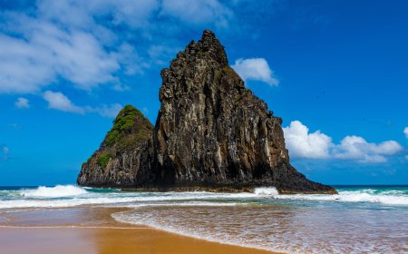 A Complete Overview of the Turkish Airlines New York City Office