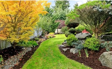 Landscaping in Manassas, VA: Enhance the Beauty and Function of Your Home