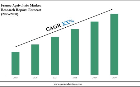 France Agrivoltaic Market Intelligence Report: 2025–2030 Forecast & Trends