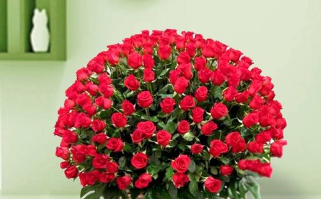 Online Flower Delivery Delhi Make Every Occasion Special with Fresh Blooms