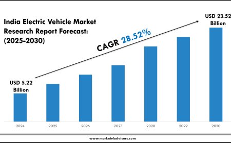 India Electric Vehicle Industry Overview (2025–2030 Forecast)