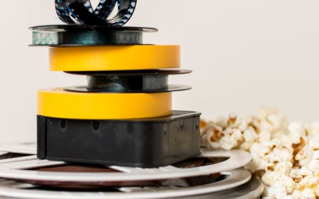 How Hydraulic Oil Seals Enhance Lift System Reliability