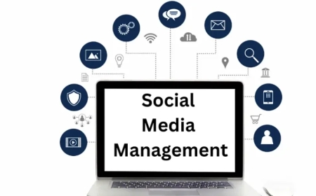 Everything You Need to Know About Social Media Management Services