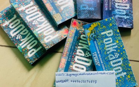 Magic mushroom chocolate for Mental Health Treatment