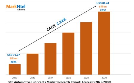 2025–2030 GCC Automotive Lubricants Market Landscape: Growth, Share & Opportunities