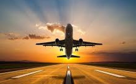 How to Find the Frontier Airlines Raleigh Office Address: A Complete Guide for Travelers