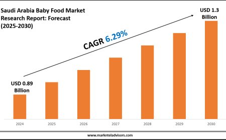 Forecasting the Saudi Arabia Baby Food Market: Key Metrics & Industry Overview