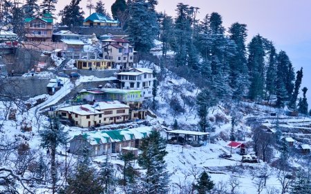 Chandigarh To Shimla Tour Package: Ideal Hill Station Getaway