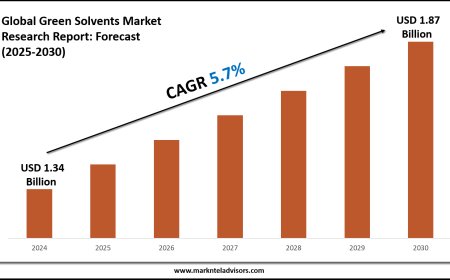 Strategic Insights on Green Solvents Market: Forecast, Size & Trends