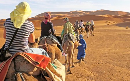 Budget-Friendly Desert Safari Packages for Dubai Visitors
