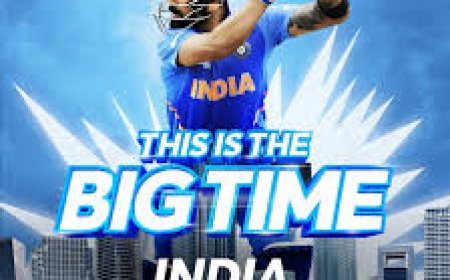 Online Cricket ID Provider – Everything you need to know before getting started