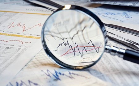 Waste Management Feasibility Studies for UAE Municipalities