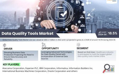 Leading Data Quality Tools Market Companies: Trends, Key Players & Outlook 2025