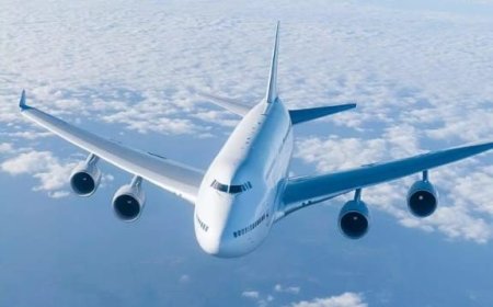 Where Does Southwest Airlines Fly To