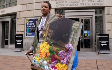 What Is a Global Health & Development Job in Canada?