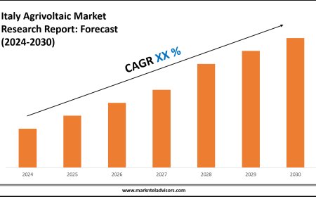 Italy Agrivoltaic Market Scope, Size and Forecast Analysis Report 2030
