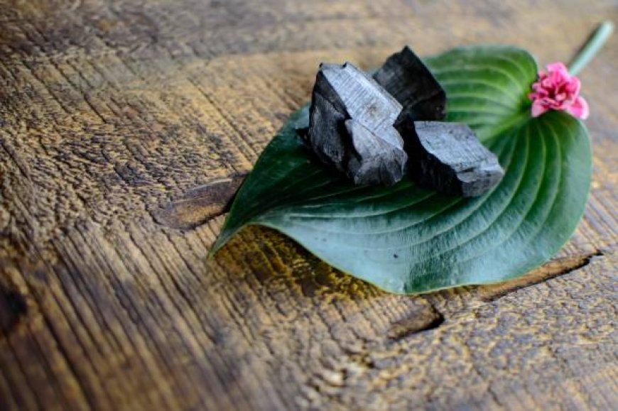 Why Purely Natural Shilajit Is the Best Choice for Authentic Wellness