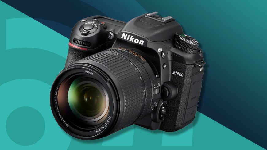 Low Light Champions: Greatest Nighttime Cameras