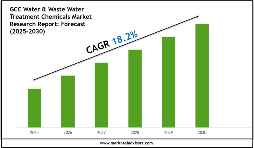 GCC Water & Waste Water Treatment Chemicals Market Size & Share 2030 Key Trends & Projections