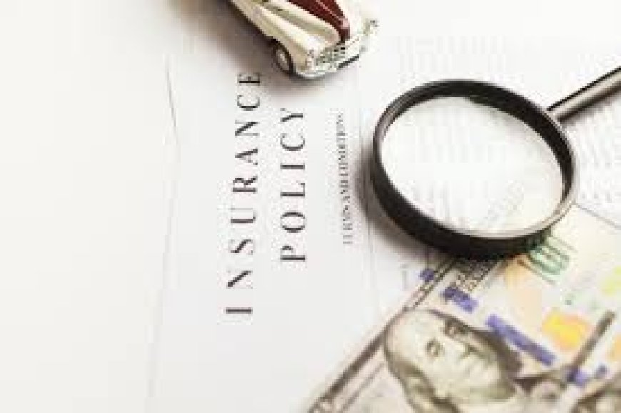 “A Complete Guide to Choosing the Right Commercial Auto Insurance”