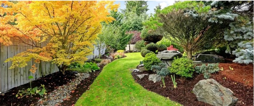 Landscaping in Manassas, VA: Enhance the Beauty and Function of Your Home