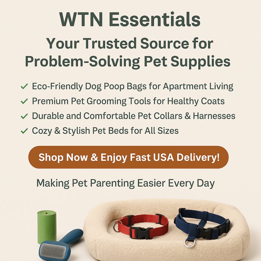 How to Choose the Safest and Most Engaging Pet Toys for Dogs and Cats