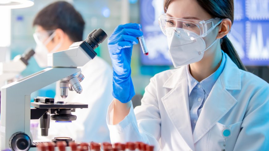 Which Allergies Can a Blood Test Detect? A Full UK Guide