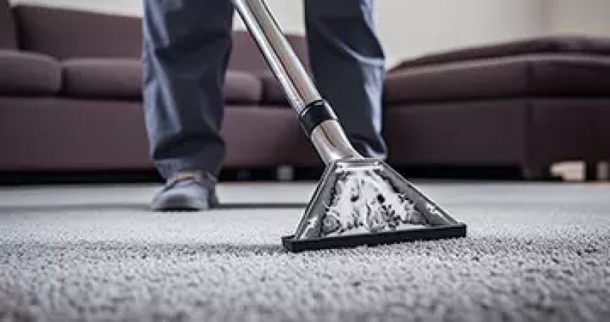 Professional Carpet Cleaning Denver, CO