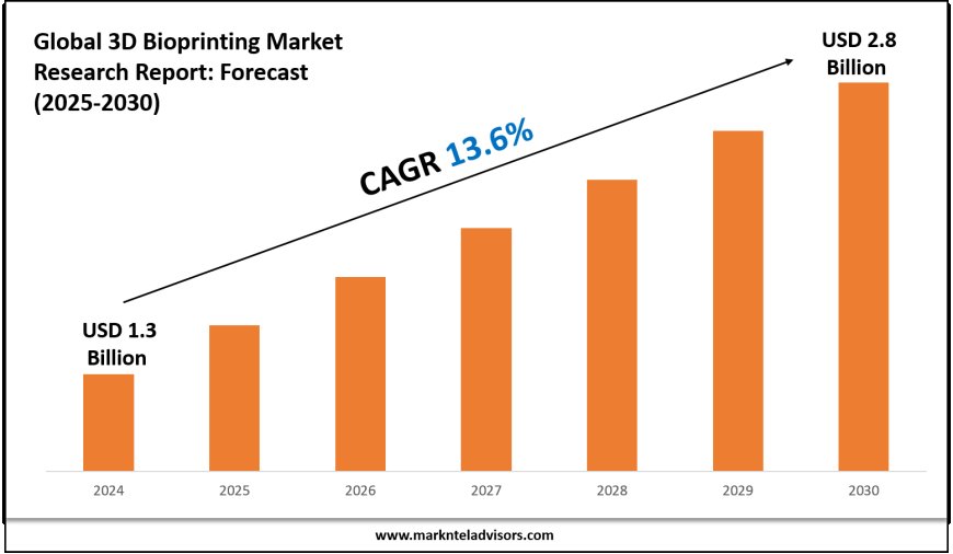 3D Bioprinting Market Research 2025–2030: Demand Drivers & Projections