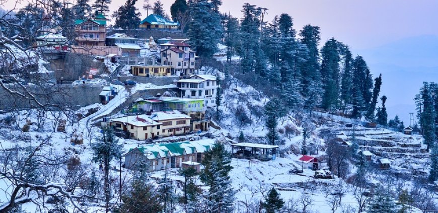 Chandigarh To Shimla Tour Package: Ideal Hill Station Getaway