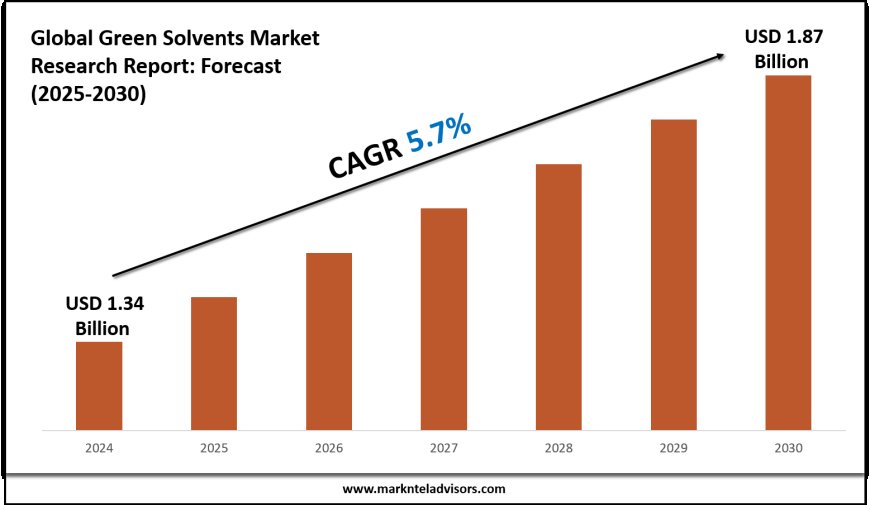 Strategic Insights on Green Solvents Market: Forecast, Size & Trends